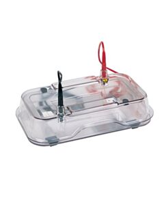 Hoefer Mini Horizontal Agarose Electrophoresis Unit, 7 x 10 cm Gel - HOF