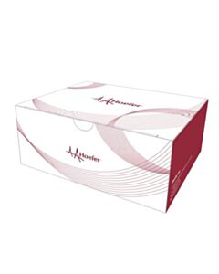 Hoefer Precast Gels, 10% Bis-Tris, 12-Well, 10×8 cm - HOF