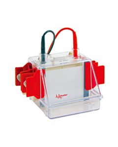 Hoefer Mini Vertical Protein Electrophoresis Unit, SE250, 10 x 8 cm - HOF