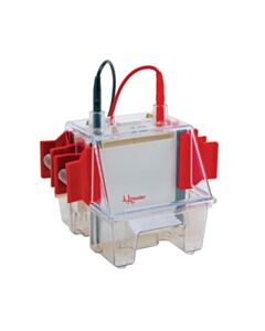 Hoefer Mini Vertical Protein Electrophoresis Unit, SE260 Mighty Small II, Basic - HOF