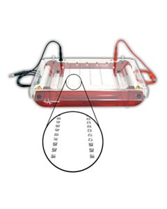 Hoefer Submarine Gel Electrophoresis Unit, High Throughput, 15 x 15 cm Gel - HOF