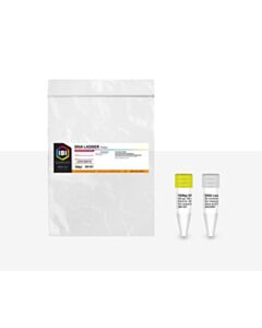 IBI Scientific DNA LADDER (100bp)-50uG/500uL (no loading dye)