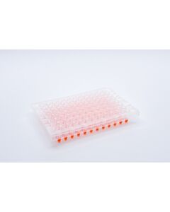 JG Finneran Porvair Transparent Peelable Film Sheet