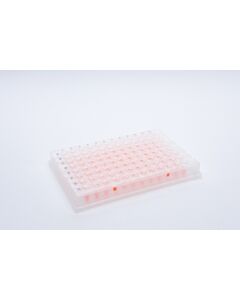 JG Finneran Porvair Clr Perforated Gas Perm,Peel/Cell&Seed