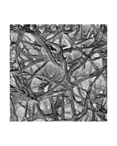 Millipore Absorbent Pad