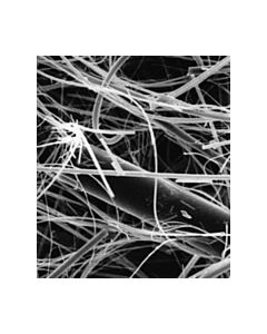 Millipore Glass Fiber Filter With Binder