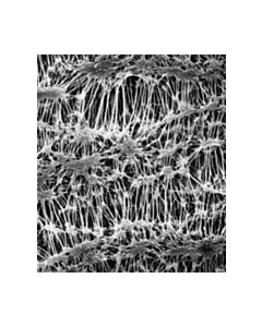 Millipore Fluoropore Membrane Filter