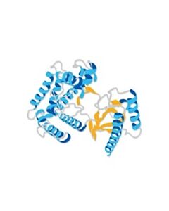 Millipore Vldl, Human