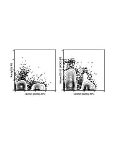 Millipore Anti-Cd117 (C-Kit) Antibody (Mouse), Pe, Clone Ack2