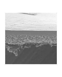 Millipore Ultrafiltration Discs, 10 Kda Nmw