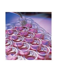 Millipore Millicell Cell Culture Insert, 30 Mm, Ha Mixed Cellulose