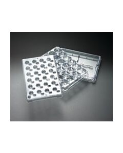 Millipore Millicell-24 Cell Culture Insert Plate, Polycarbonate