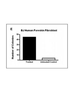 Millipore Human Ips Reprogramming Boost Supplement