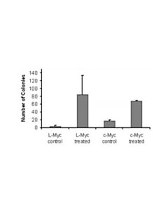 Millipore Human Ips Reprogramming Boost Supplement Ii