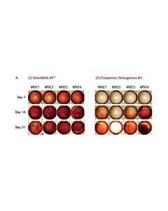 Millipore Osteomax-Xf Differentiation Medium