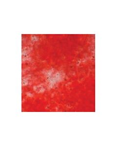 Millipore Mesenchymal Stem Cell Osteogenesis Kit
