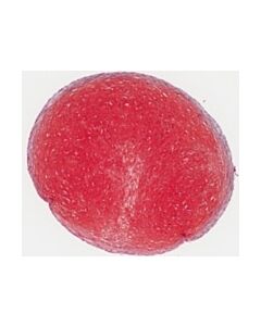 Millipore Safranin-O Staining Solution