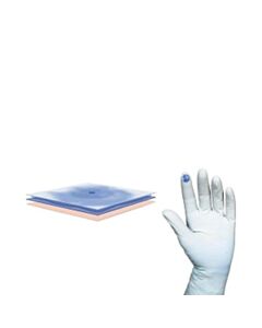 Molnlycke Surgical Glove, Size 5.5, Sterile, Powder-Free, 200/CS (US Only)