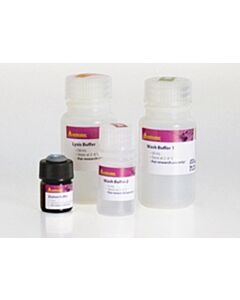 Miltenyi Biotec Kit For Automated Isolation of Dykddddk-Tagged Proteins From 8-96 Samples In Parallel; For 384 isolations