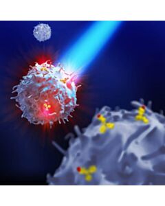 Miltenyi Biotec Isotype Control Antibody For Flow Cytometric Analysis of Cells