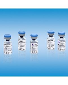 Miltenyi Biotec Recombinant Human Interleukin 4