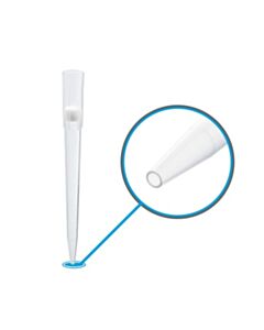 MTC Bio Pipette Tip, Wide Bore, 1000 µL, Sterile, Filtered, 5/CS