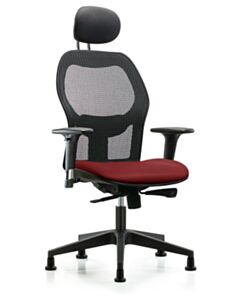 Neta ECOM Executive Windrowe Mesh Back Chair Adjustable From 19-23 Inches
