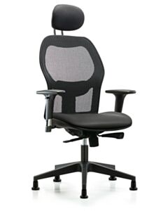 Neta ECOM Executive Windrowe Mesh Back Chair Adjustable From 19-23 Inches