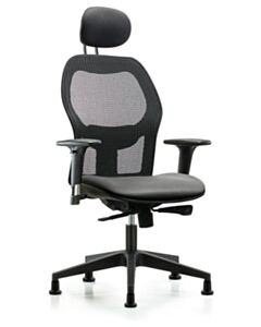 Neta ECOM Executive Windrowe Mesh Back Chair Adjustable From 19-23 Inches