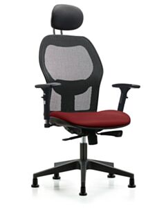Neta ECOM Executive Windrowe Mesh Back Chair Adjustable From 19-23 Inches