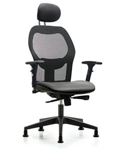 Neta ECOM Executive Windrowe Mesh Back Chair Adjustable From 19-23 Inches