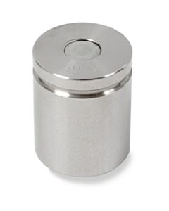 OHAUS Weight, 300 g, Nist F, Nvlap Cert