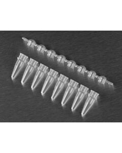 Corning Axygen 0.2mL Polypropylene PCR Tube Strips and Domed Cap Strips, 8 , 1250/CS