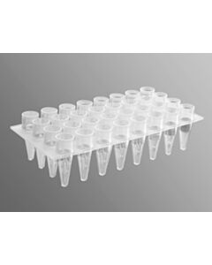 Corning Axygen 32 Well Polypropylene PCR Microplate, Clear, Nonsterile, 50/CS