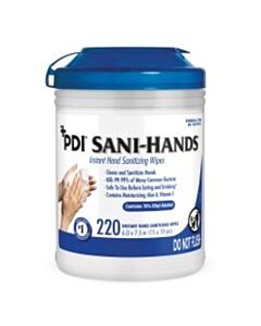 Professional Disposables Instant Hand Sanitizing Wipe, Lg
