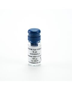 Revvity Htrf Anti-Vhh-D2, 5,000 Assay Points