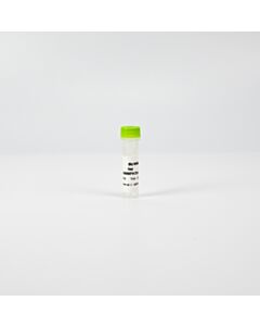 Revvity Htrf Human Mmp1 Kit, Standard, 1 Vial