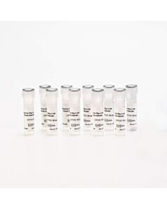 Revvity Phenovue Fluo-4 Am, Calcium Indicator