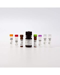 Revvity Phenovue Multi Organelle Staining Kit 1x384