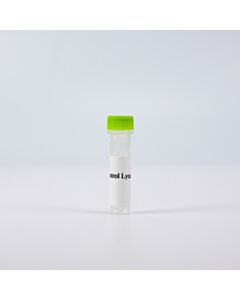 Revvity HTFF Human Total A-RAF Detection Kit, Control Lysate