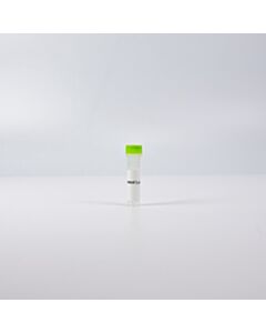 Revvity HTRF High Performance Human and Mouse phospho-STAT3 Tyr705 Detection Kit, Control Lysate