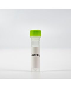 Revvity HTRF Human and Mouse Phospho-CDC6 (Ser54) Detection Kit, Control Lysate