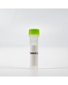 Revvity HTRF Human and Mouse Total HSP70-1A/1B Detection Kit, Control Lysate
