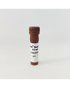 Revvity pHSense Boost Reagent, 0.5 mL