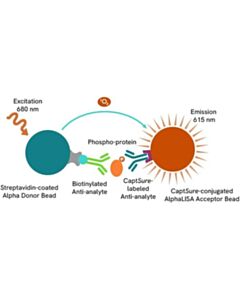 Revvity Alphalisa Surefire Biotin-Free Human And Mouse Phospho-Rb (THR826) Detection Kit, 10,000 Assay Points