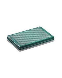 Labnet Accuseal adapter for sealing assay plates and plates needing more support