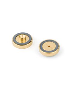 Restek Dual Vespel Ring Inlet Seals, 0.8 mm, Gold-Plated, for Agilent GCs, 2-pk.