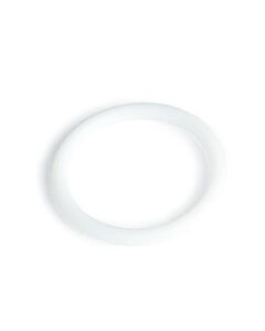 Restek Pump O-Ring, for Waters ACQUITY, nanoACQUITY HPLC Systems