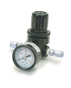 Restek MINICYL Regulator, 1/8" Stainless-Steel Female Fittings