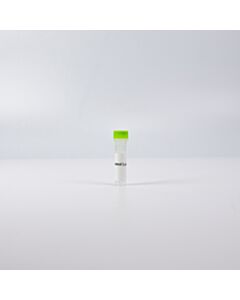 Revvity HTRF Human and Mouse Total CDC6 Detection Kit, Control Lysate